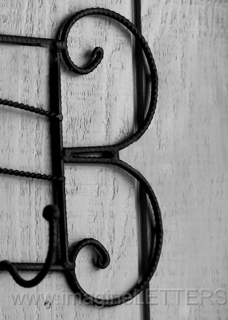 Wall_Art_Alphabet_Photography_Art_ 244.jpg